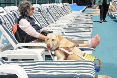 Even guide dogs can relax by the pool.