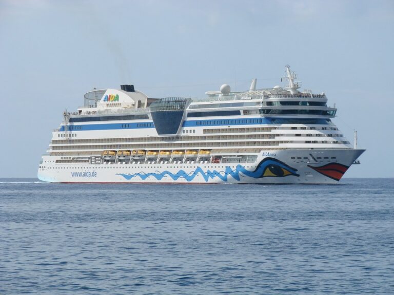 AIDA Opens Bookings For 2024 Summer Season Cruise Industry News   DSC02108 768x576 