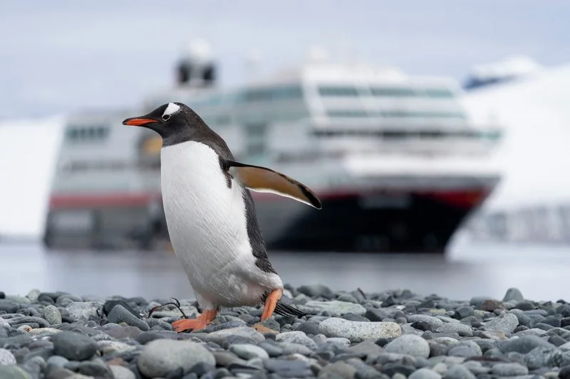 Antarctic Tour Operators' Fuel Consumption to be Analysed as They Embark on  Climate Strategy - IAATO