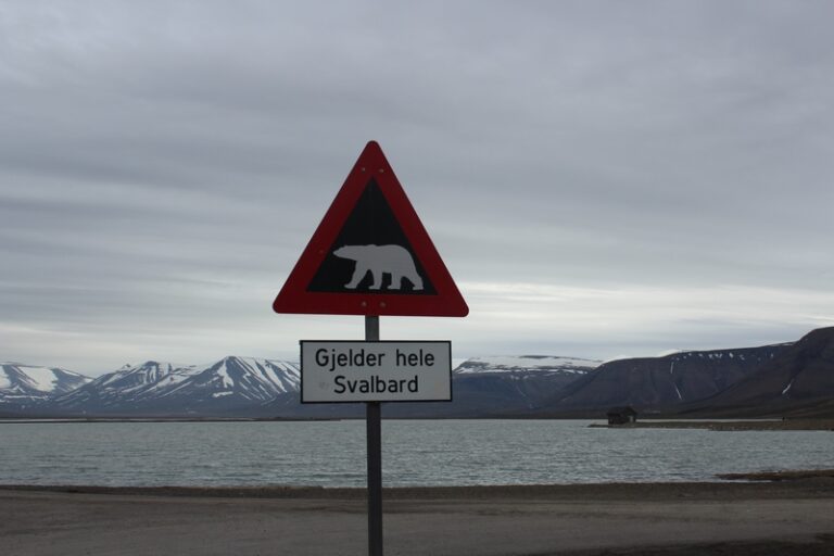 Hurtigruten Considers Sale of Its Real Estate Portfolio in Svalbard