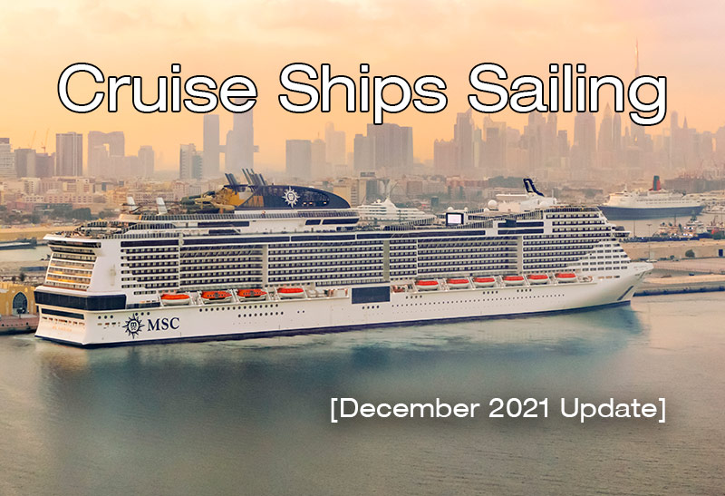 cruise ships in december