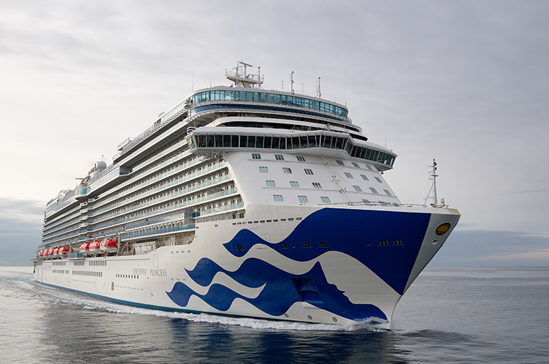Ernest Shackleton suelo definido Princess Cruises: Summer 2022 Deployment Breakdown - Cruise Industry News |  Cruise News