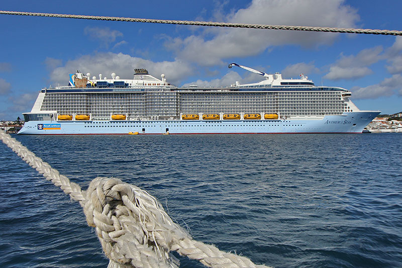 royal caribbean cruises earnings