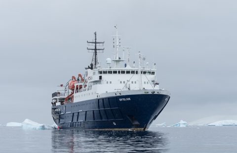 Ortelius