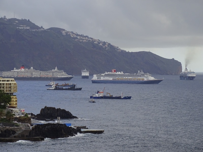 Ships in the Funchal harbor