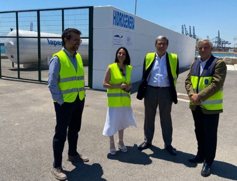 Valencia Hydrogen Project