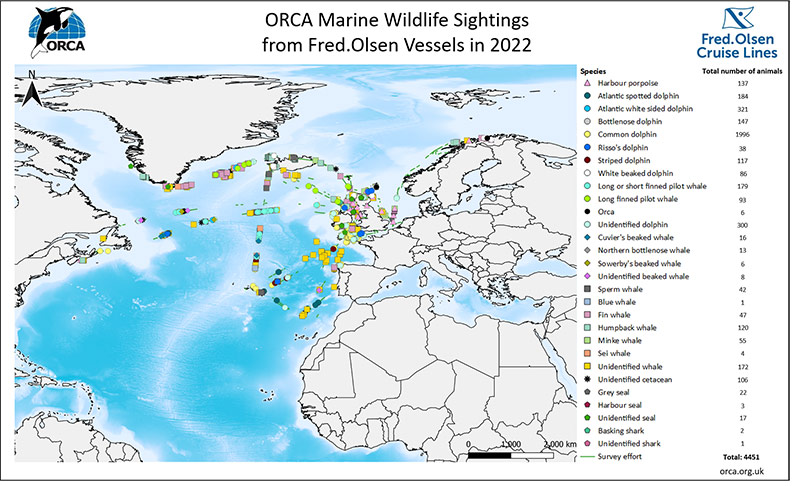 orca sightings