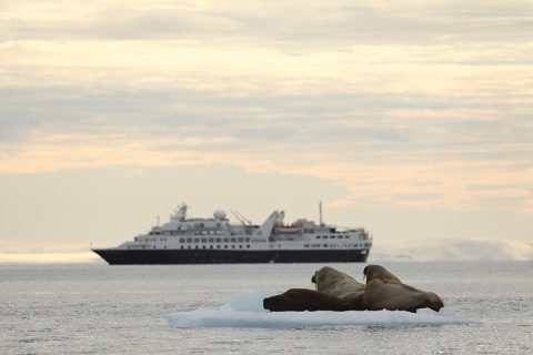 Silver Explorer in Arctic