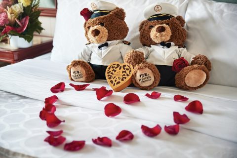 Princess bear
