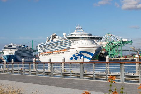 Princess in Port of Los Angeles
