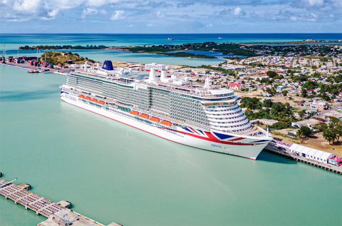 Arvia in St. Johns
