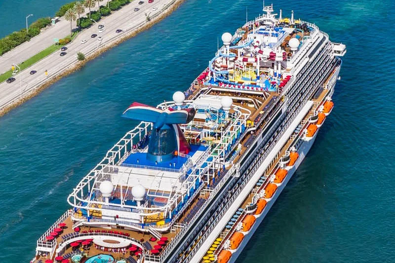 carnival cruise lines earnings call