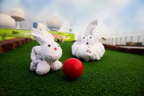 towel animals rabbit