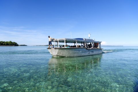 Coral Expeditions in Spice Islands