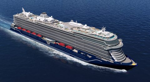 TUI New Ship Rendering