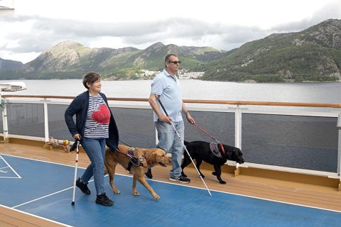 Service Dogs on Holland America