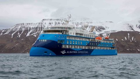 Ocean Albatros