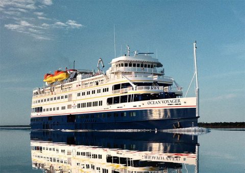 Ocean Voyager