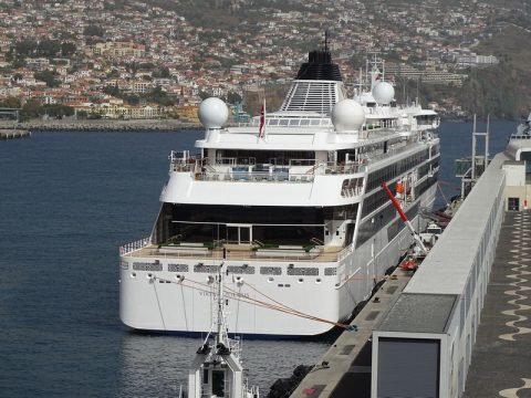 Viking Polaris