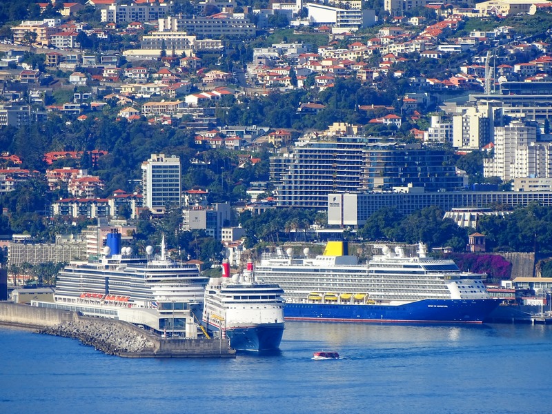 Ships in Funchal