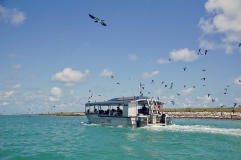Coral Expeditions
