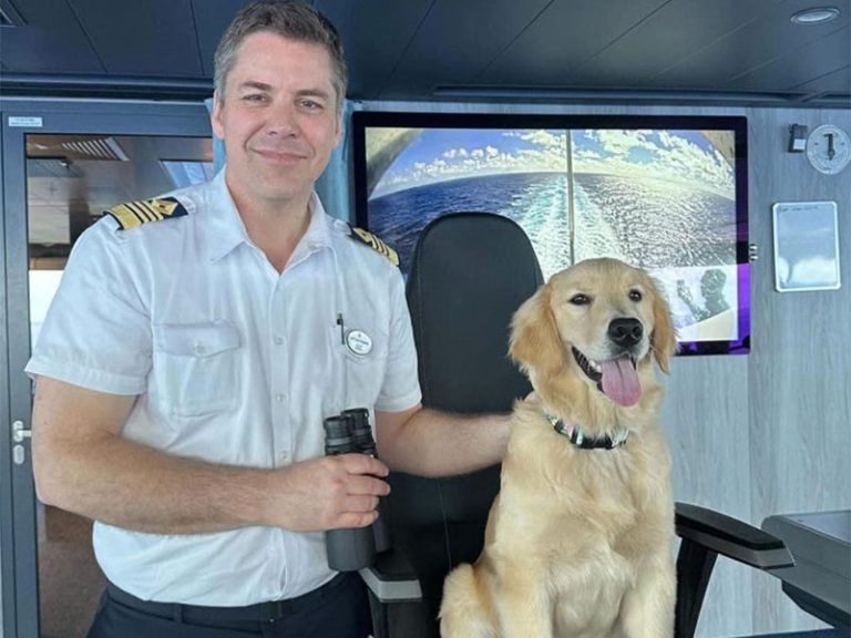 Star of the Seas To Get Chief Dog Officer - Cruise Industry News ...