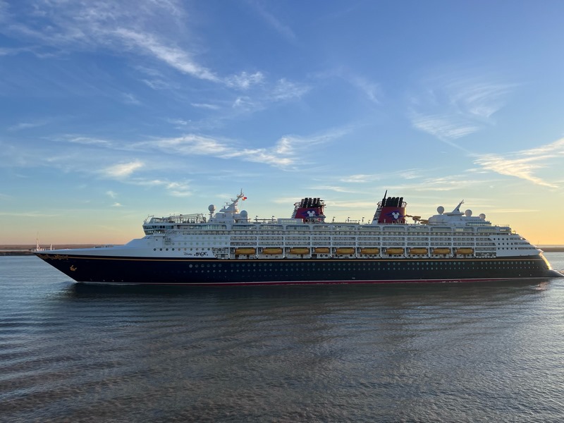 Disney Magic in New Orleans