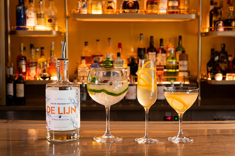 de lijn gin and cocktails 1