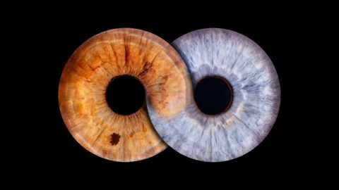 Eyeconic