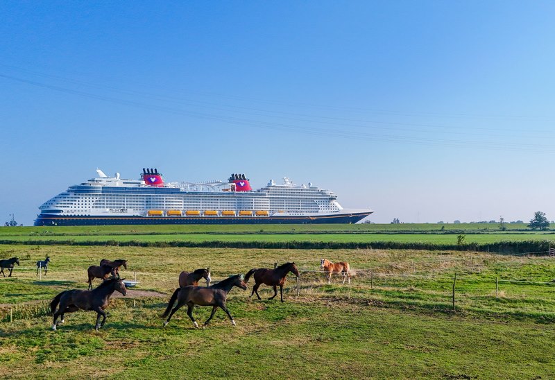 Disney Treasure Conveyance