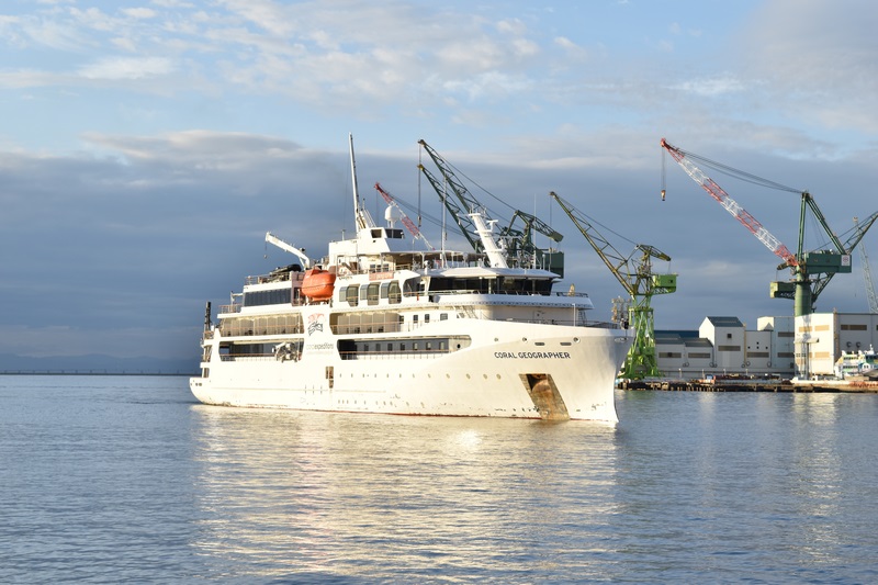 Coral Geographer in Kobe