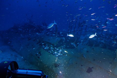 Submarine Find