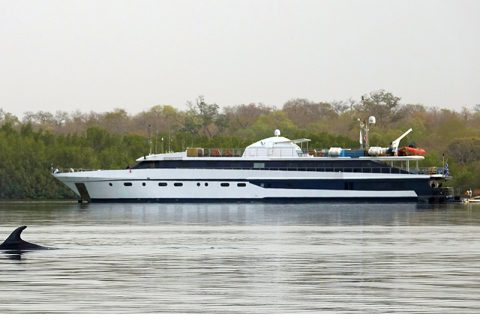 Harmony G