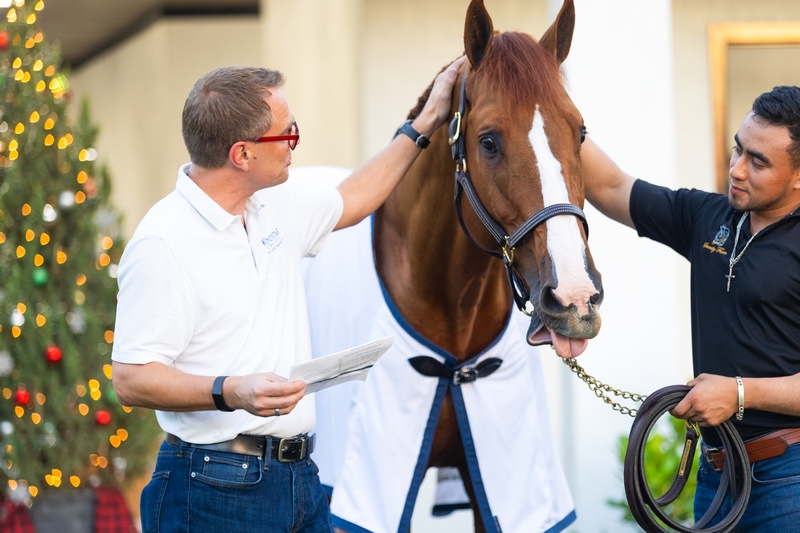 Windstar Horse