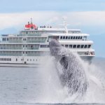 American Cruise Lines ship in Alaska