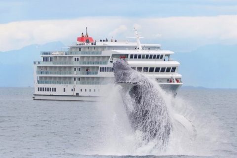 American Cruise Lines ship in Alaska