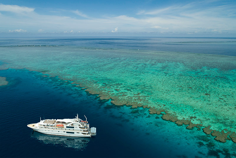 Coral Ship