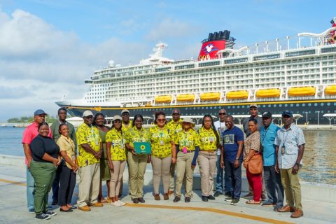 Nassau Sunflower Program