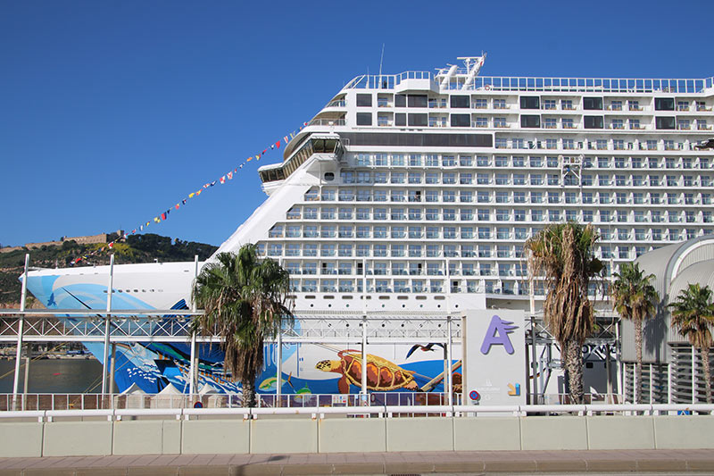 Norwegian Bliss