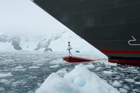 Bow - Ponant Dancer