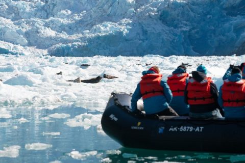 Seabourn zodiac tour in Alasksa