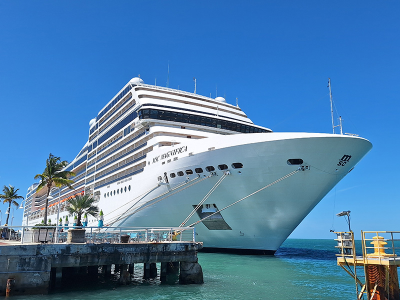 cruiseindustrynews.com