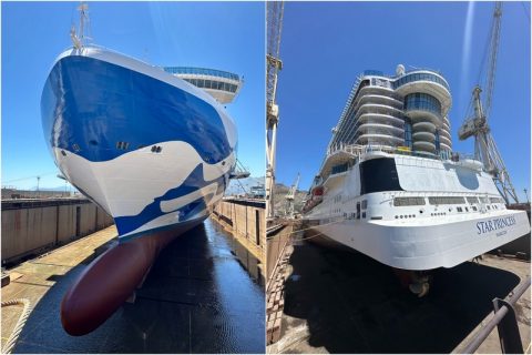 Star Princess Drydock