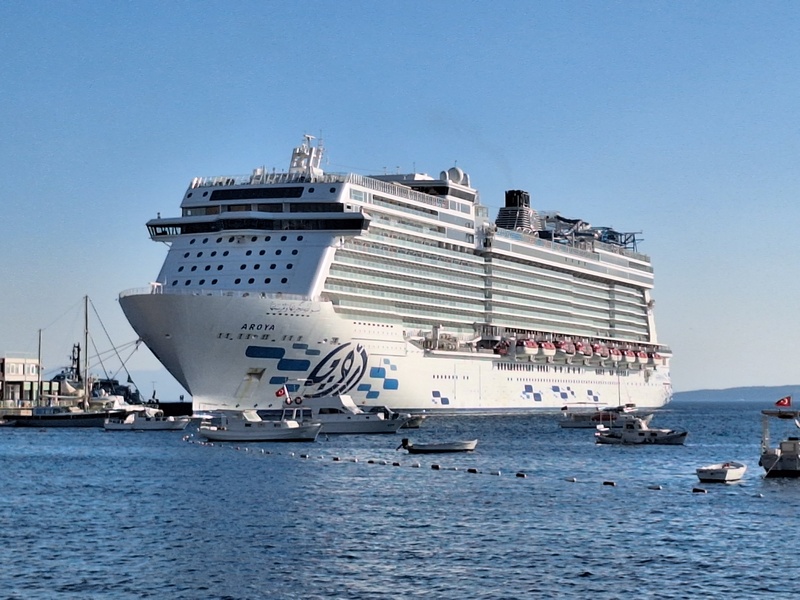 Aroya Makes Maiden Visit to Bodrum, Turkey – Cruise Industry News | Cruise News