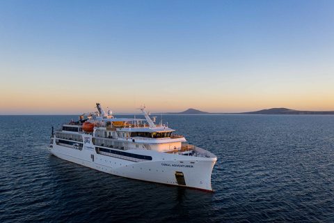coral adventurer, south australias, coffin bay