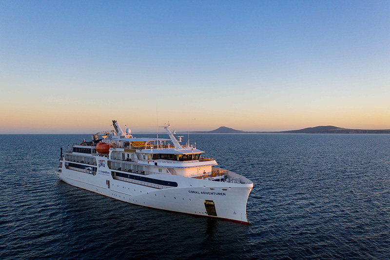 coral adventurer, south australias, coffin bay