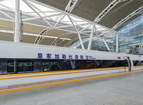 Royal Caribbean train