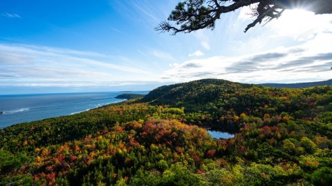 Bar Harbor Scene
