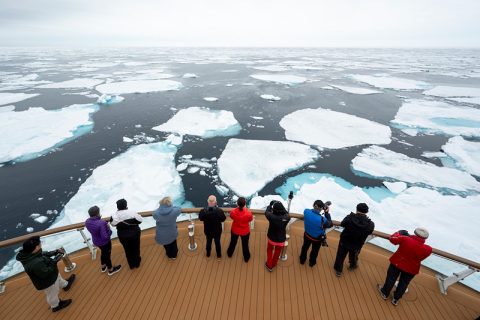 polar latitudes and albatross new website