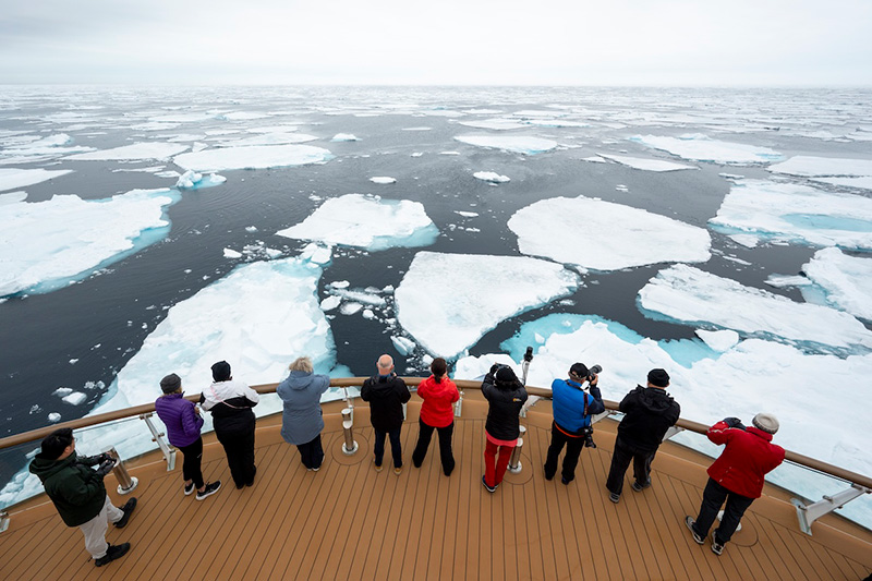 polar latitudes and albatross new website
